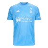 Officiële Voetbalshirt Nottingham Forest Derde 2024-25 - Heren